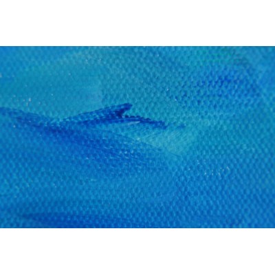 Toile Bleu tendresse