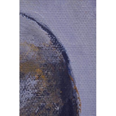 Toile Planète errante