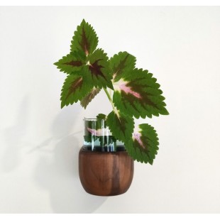 Jardinière murale en bois et verre Fjörgyn
