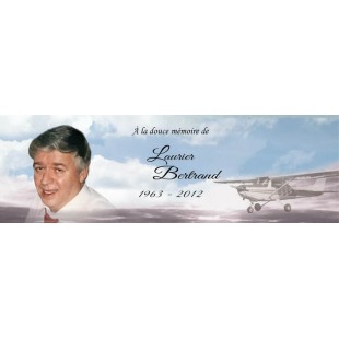 Signet - Avion 