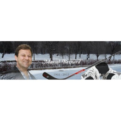 Signet - Hockey 
