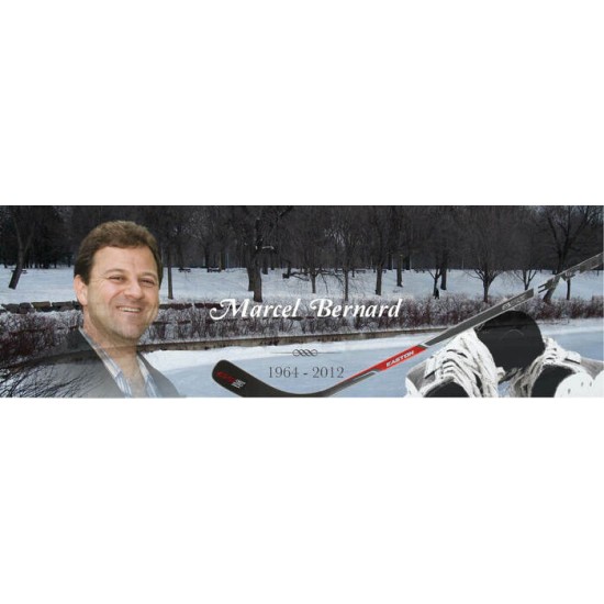 Signet - Hockey 