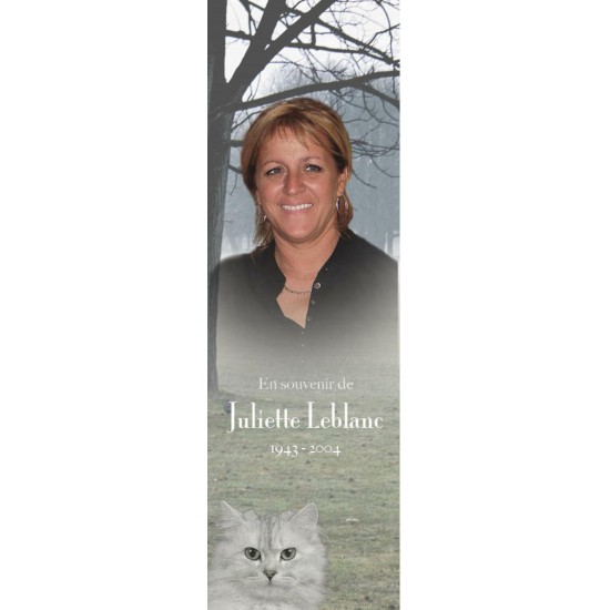 Signet - Chat nature