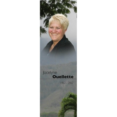 Signet - Brouillard en montagne