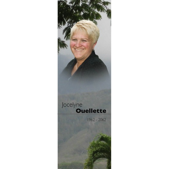 Signet - Brouillard en montagne