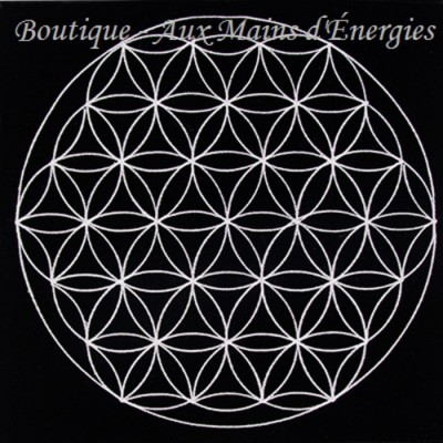 TAPIS DE VELOURS POUR PENDULE - VIE DE FLEURS