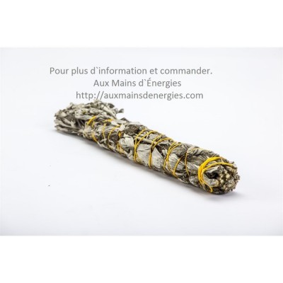 Armoise en baguette