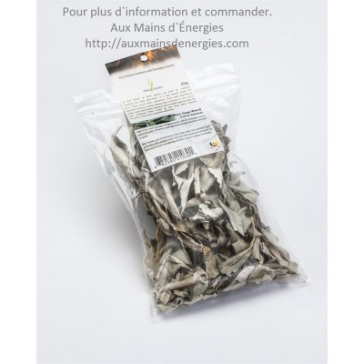 Sauge Blanche en vrac 25g
