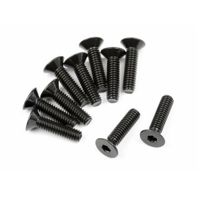 M3x14mm Flat Head  (10)
