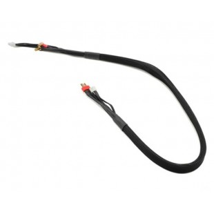 Câble de charge TQ Wire 4S avec prise Deans (2...
