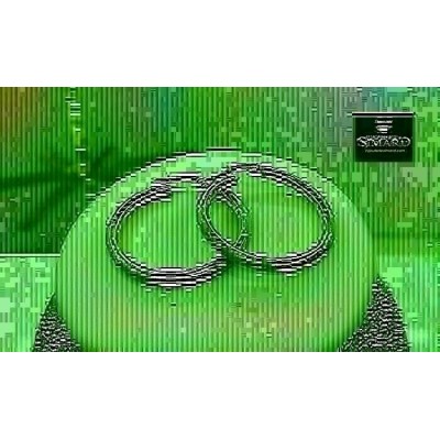 Boucles d'oreilles 10 k 