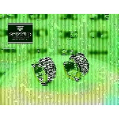 Boucles d'oreilles en acier Boucles d'oreilles en acier