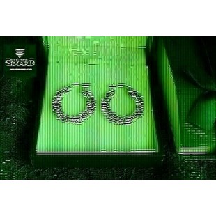 Boucles d'oreilles  10 k