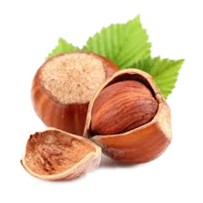 Noisette