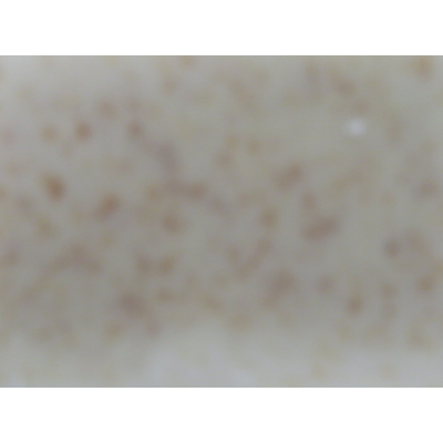 Savon naturel : Pure Québec