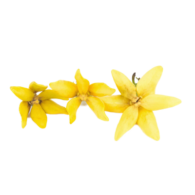 Ylang-Ylang 
