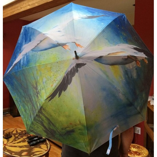 Parapluie - Un peu plus haut