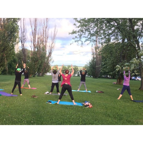 Essentrics avec Diane Leroux - Jeudi 9h30-10h30  - Montmartre Canadien