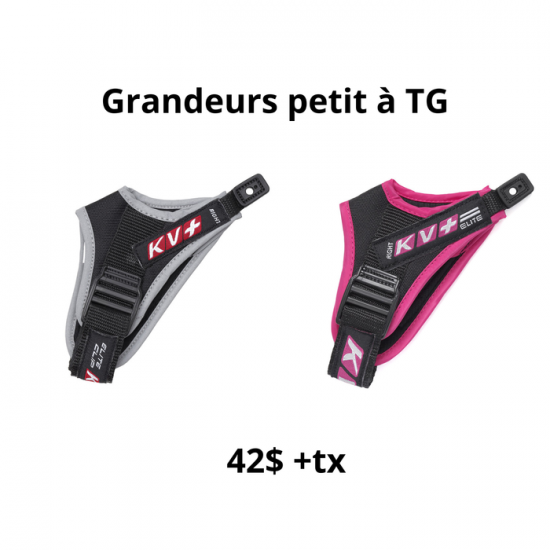 Gantelets supérieurs