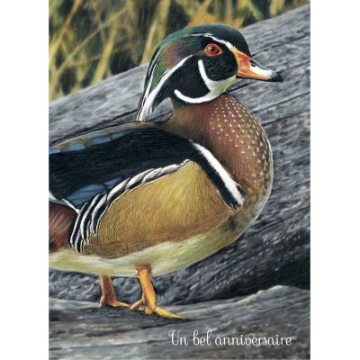 Canard d'anniversaire