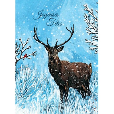 Boîtier Promo 4+1 - Noël Classique