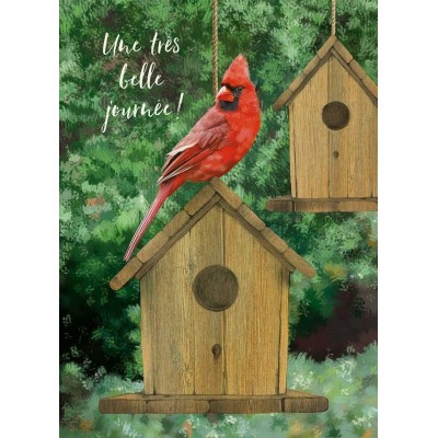 Cardinal rouge Cardinal rouge