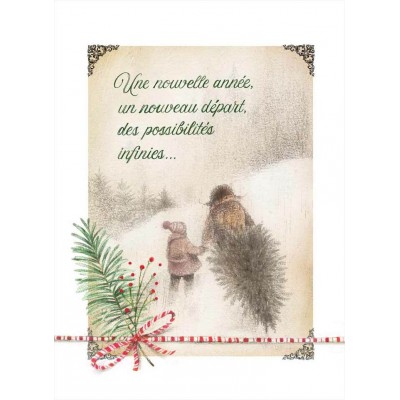 Choix du sapin