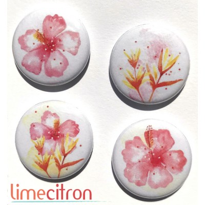 Hibiscus - 266