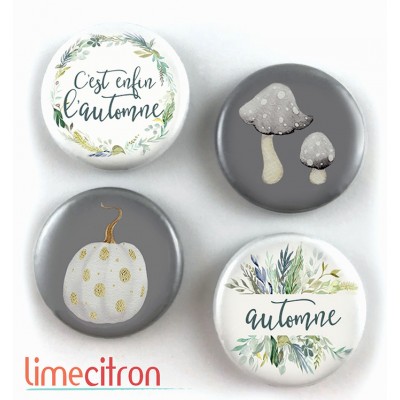 Automne en gris - 280