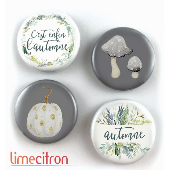 Automne en gris - 280