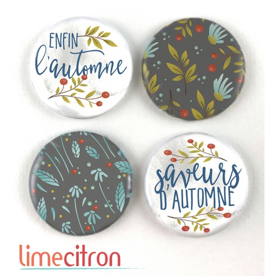 Enfin l'automne - 278