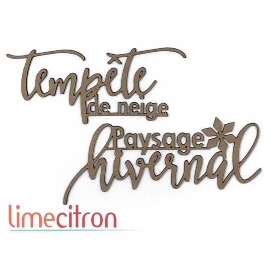  Chipboard -  Tempête 