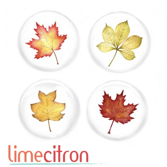 4 feuilles - 367