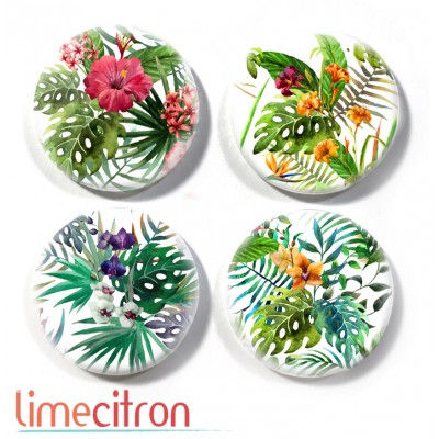 Tropical - 401