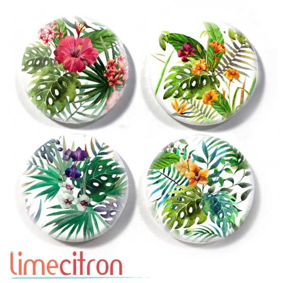Tropical - 401