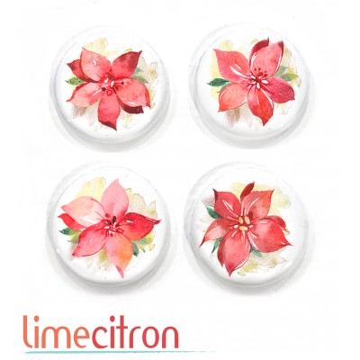 Poinsettia - 447