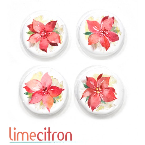 Poinsettia - 447