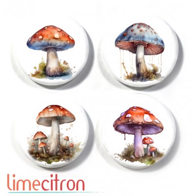 Champignons - 465
