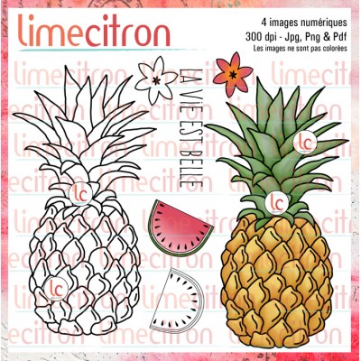 Ananas - Étampe numérique à télécharger