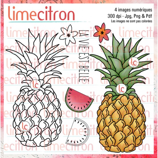 Ananas - Étampe numérique à télécharger