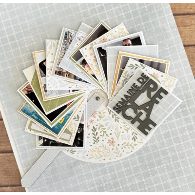 Chipboard - Mécanisme pour caroussel