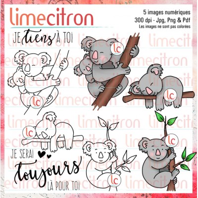 Koala - Étampe numérique à télécharger