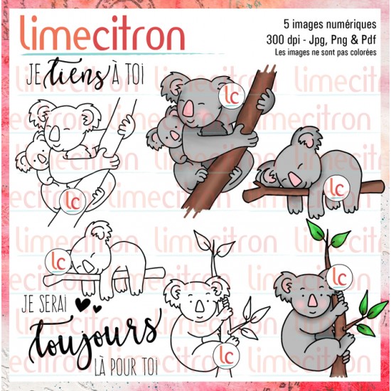 Koala - Étampe numérique à télécharger