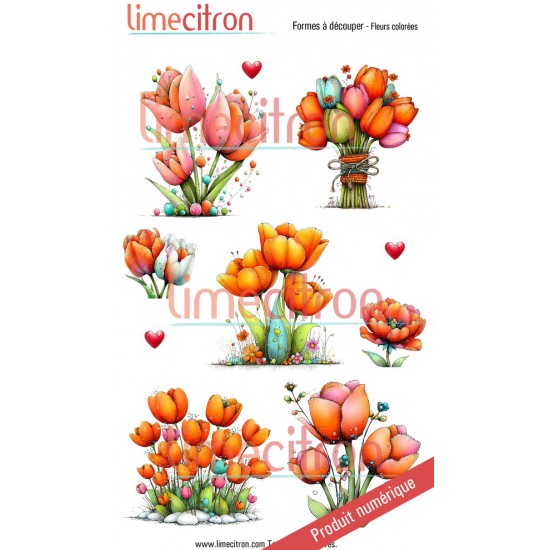 Téléchargeable - Feuille à découper - Fleurs colorées