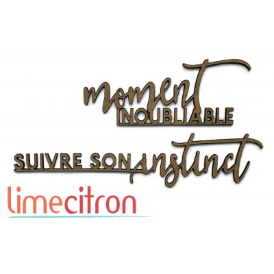  Chipboard -  Moment inoubliable