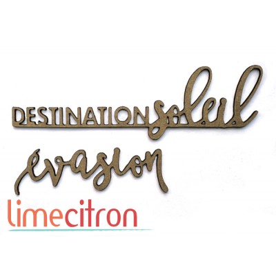  Chipboard -  Evasion