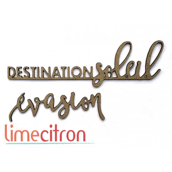  Chipboard -  Evasion