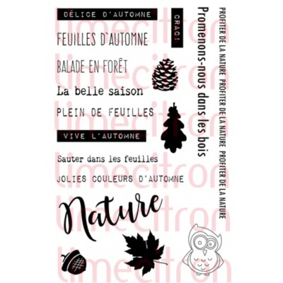 Plaisirs d'automne - Étampe