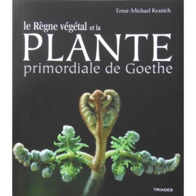 Règne végétal et la plante primordiale de...