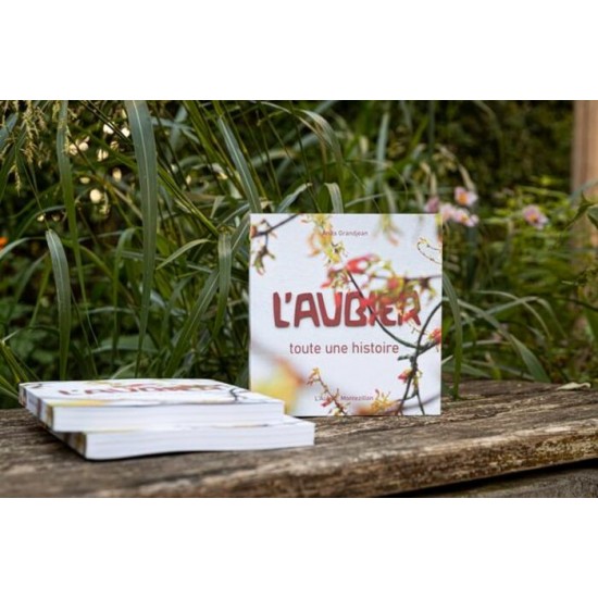 Aubier (L')